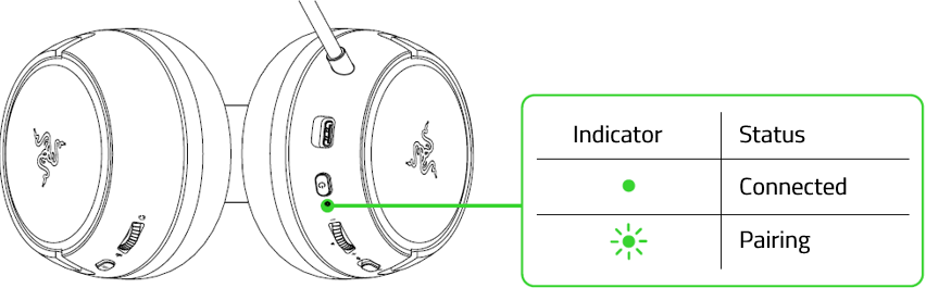 Wait until the status indicator becomes static green