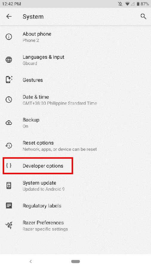 Developer options under Systems menu on the Razer Phone
