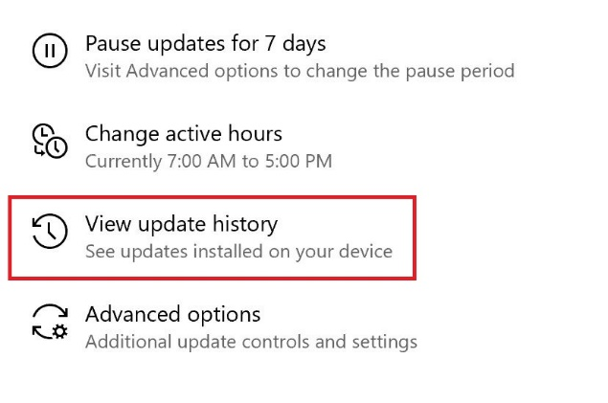 View update history option on WIndows