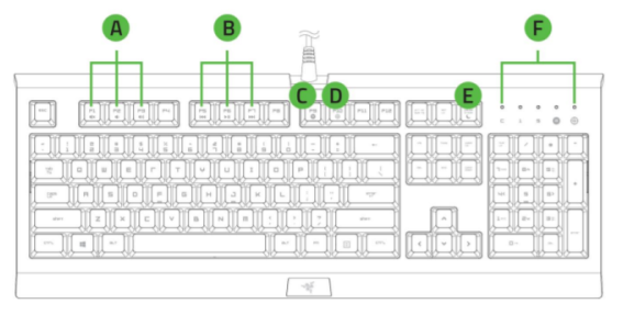 Razer Cynosa device layout