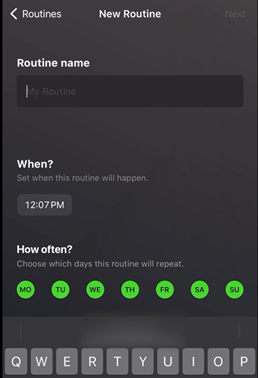 app window showing routine name field