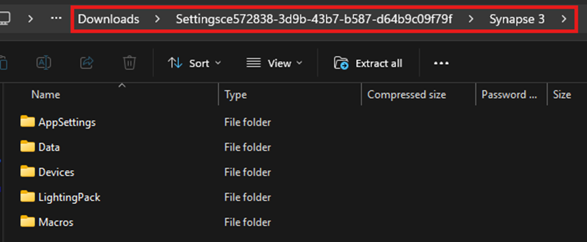 Synapse 3 folder