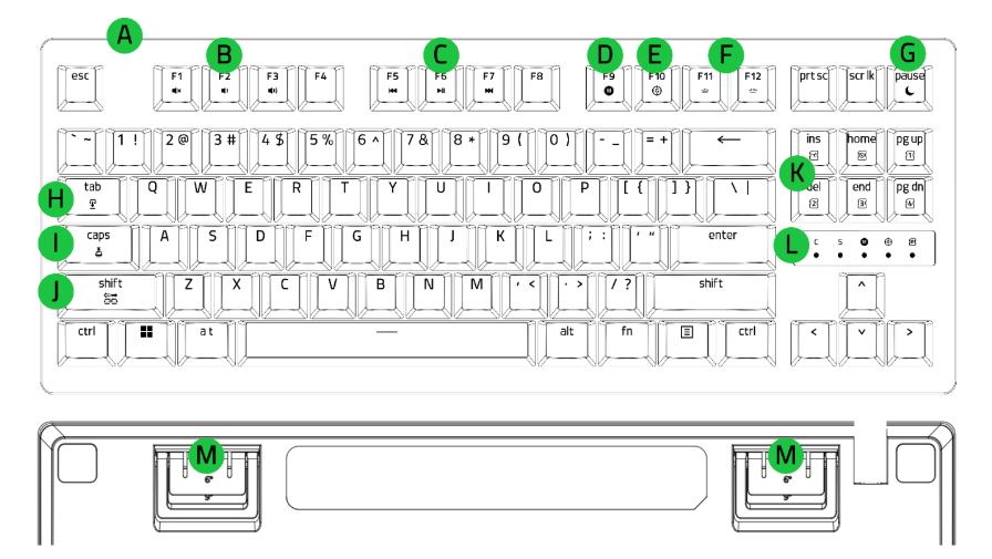 illustration of device layout