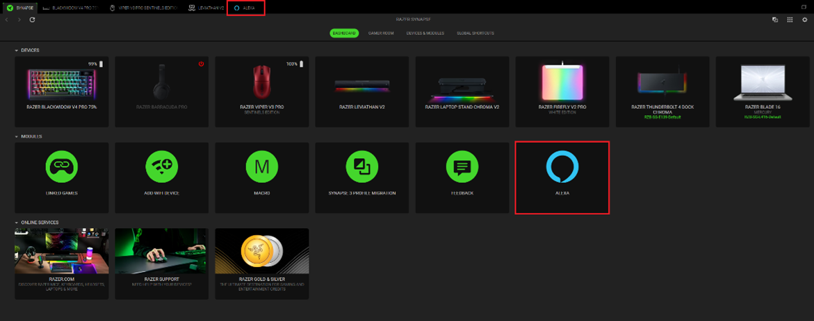 Alexa Module on Synapse