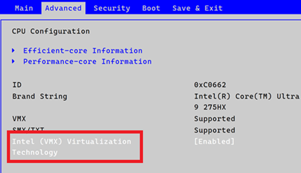 BIOS advanced screen